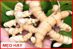 Sức khỏe đời sống - Đau nhức xương khớp ê ẩm hậu Covid - Mẹo giảm đau "cực nhạy" từ chuyên gia