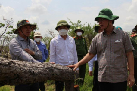 Bí thư, Chủ tịch tỉnh Đắk Lắk kiểm tra hiện trường vụ phá rừng gây xôn xao dư luận