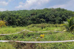 Pháp luật - Án mạng nghi tranh giành đất đai