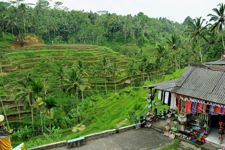 11. Có các cửa hàng và quán cà phê gần đó, nằm trên con đường chính, nhưng khi vào bên trong cánh đồng lúa thì không có dịch vụ nào có sẵn cả. Vì vậy, nếu có ý định ở lại lâu hơn, bạn có thể mang theo nước và đồ ăn vặt.
