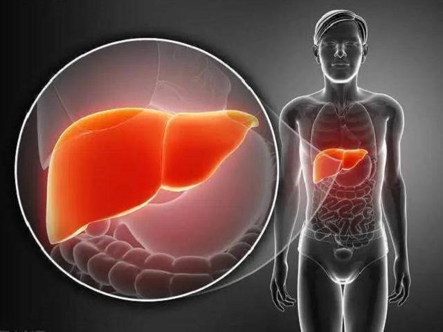 Sức khỏe đời sống - Thấy 3 dấu hiệu bất thường này trên miệng là dấu hiệu cảnh báo gan đang kêu cứu