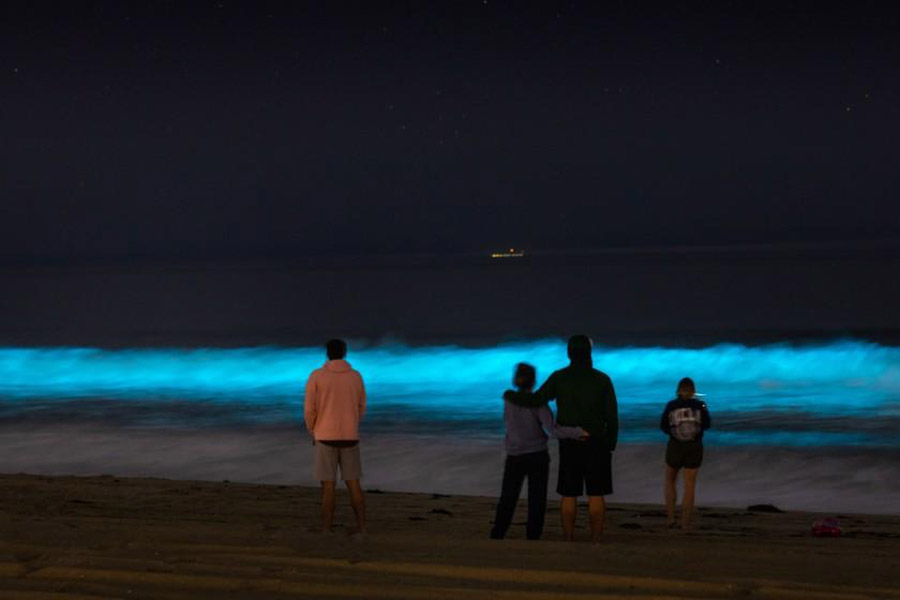 The special sea has blue glowing tides, it's hard for anyone to see - 6