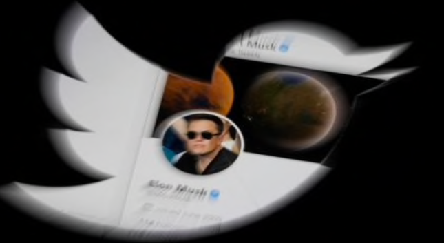 Chân dung tỷ phú Elon Musk lồng trong logo hình chú chim của mạng xã hội Twitter. (Đồ hoạ: Reuters)