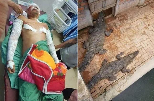 Going to the toilet at midnight, the farm owner almost became "late night"  of crocodiles - 1