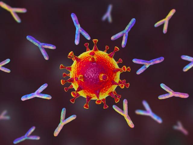 Thế giới - Covid-19: Biết gì về biến thể mới ở Mỹ lây lan mạnh hơn Omicron tàng hình?