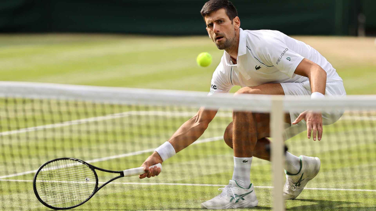 Djokovic đàng hoàng dự Wimbledon 2022