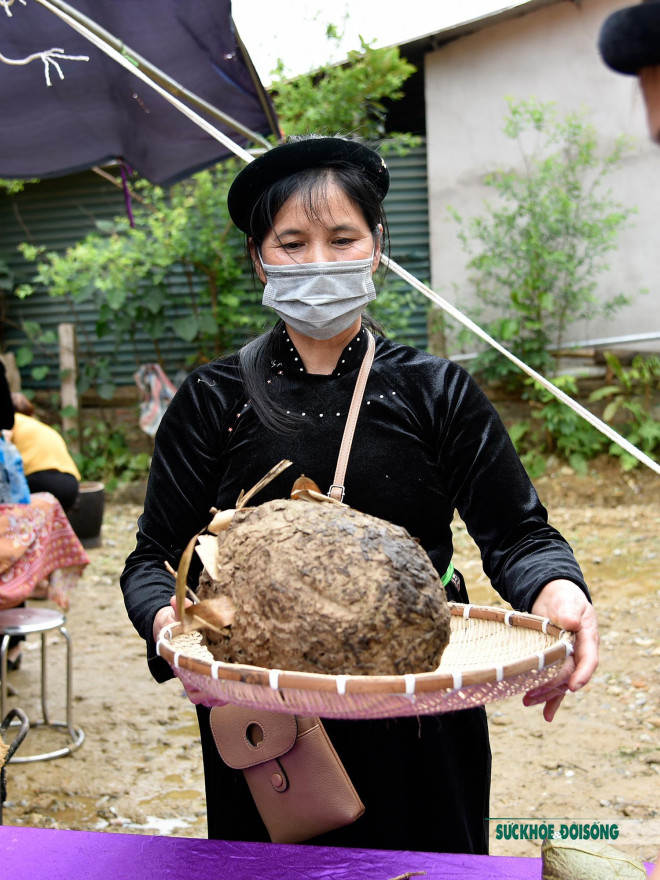 Ngọt bùi bánh nếp nhân trứng kiến của người Tày ở Tuyên Quang - 5