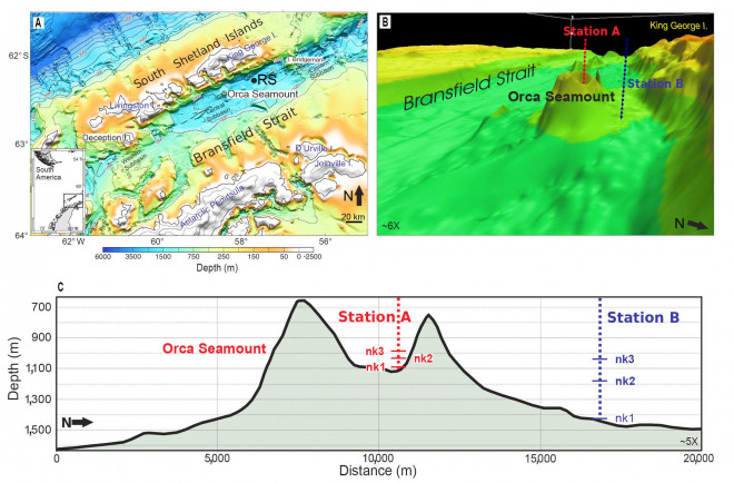 "Quái vật lửa" Orca Seamount - Ảnh: REDALYC
