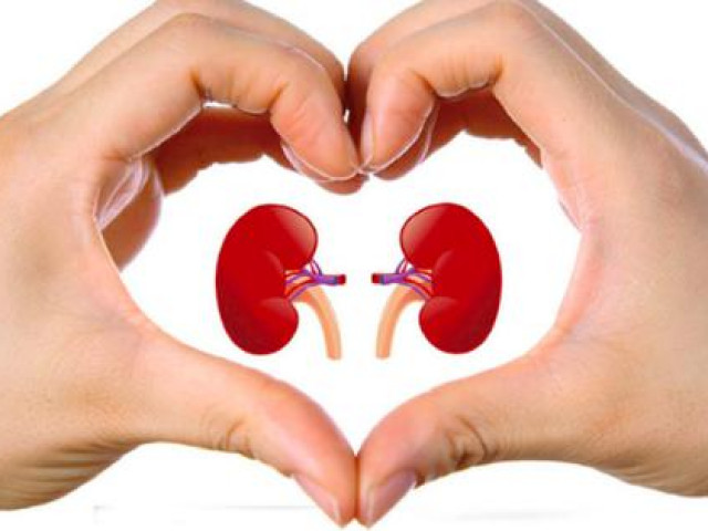 Sức khỏe đời sống - Nhìn vào 5 chỗ này trên cơ thể, càng tốt thì thận càng khoẻ rất đáng chúc mừng