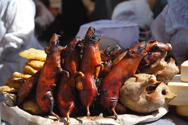 14. Chuột lang

Chuột lang được xem là món ăn ngon nổi tiếng ở Nam Mỹ. Nó thường được nướng nguyên con hoặc hầm, vị tương tự như thịt thỏ.


