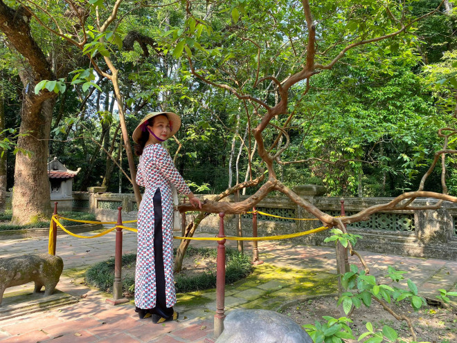 Thanh Hoa: The mystery of the 89-year-old guava tree is "giggle"  in Lam Kinh relic site - 1
