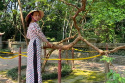 Du lịch - Thanh Hóa: Bí ẩn cây ổi 89 năm tuổi cứ sờ vào là "cười khúc khích" ở Khu di tích Lam Kinh