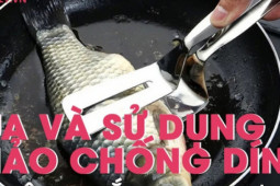 Các chuyên gia tư vấn, mua và sử dụng chảo chống dính như thế nào để không mắc ung thư