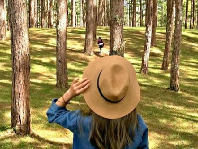 Du lịch - Có một Đà Lạt thu nhỏ ngay trong lòng Ninh Bình