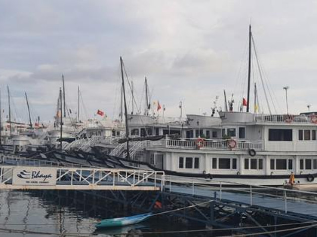 Tin tức trong ngày - Dừng cấp phép tàu tham quan vịnh Hạ Long do thời tiết xấu