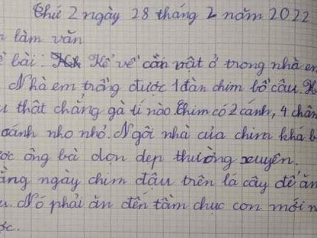 Giáo dục - du học - Bài văn Tiểu học tả CON CHIM có tận 4 chân, chuồng thì bẩn, đọc đến câu cuối mà phụ huynh muốn "độn thổ" vì xấu hổ