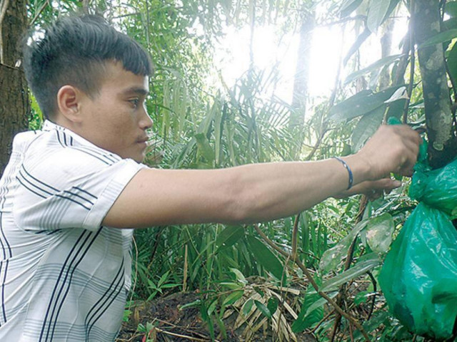 Tin tức trong ngày - Kỳ lạ khu rừng cất nhau, rốn của đồng bào Xê Đăng