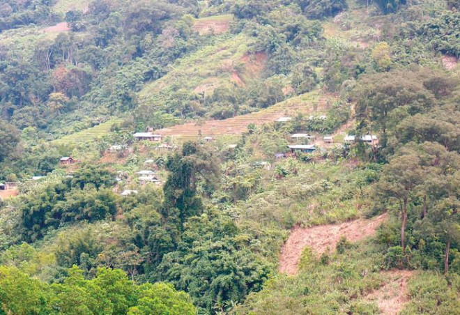 Được người dân giữ gìn, các khu rừng đặc dụng ở xã Trà Linh vẫn tươi xanh