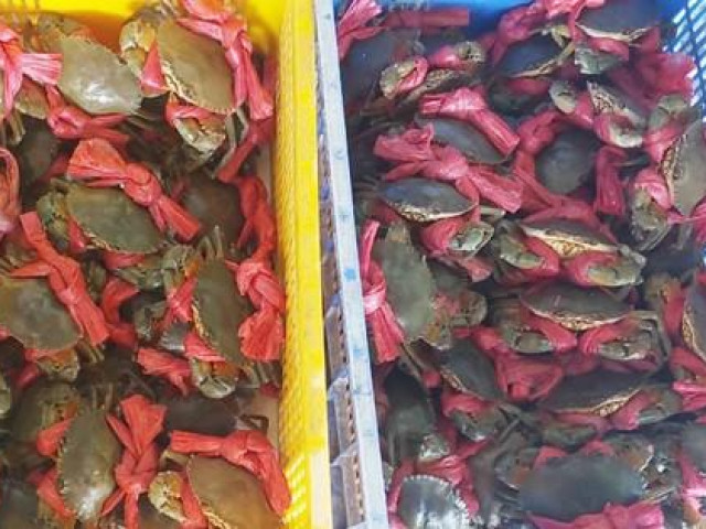 Thị trường - Tiêu dùng - Giá cua gạch tăng mạnh ở miền Tây