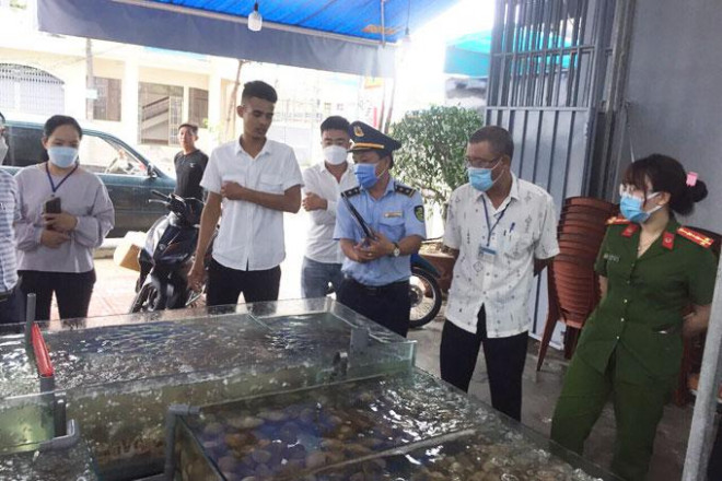 Seafood bill of 42.5 million VND in Nha Trang: Diners ready to make "  - 2