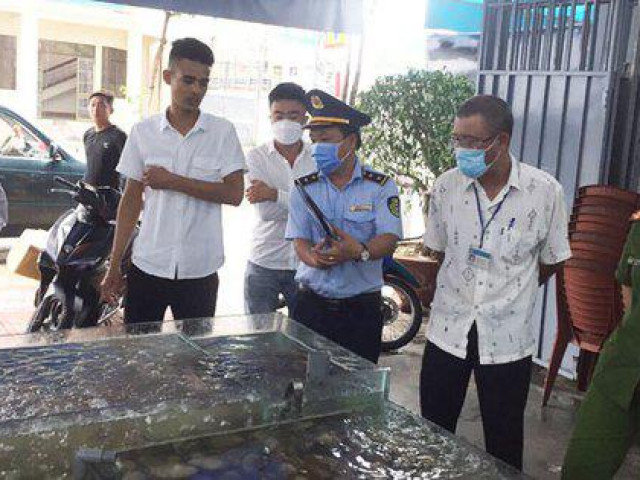 Tin tức trong ngày - Hóa đơn hải sản 42,5 triệu đồng ở Nha Trang: Thực khách sẵn sàng làm "ra ngô ra khoai"