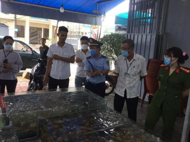 Tin tức trong ngày - Tin tức 24h qua: Đoàn thực khách tố bị "chặt chém" 42,5 triệu ở Nha Trang sẵn sàng đối chất