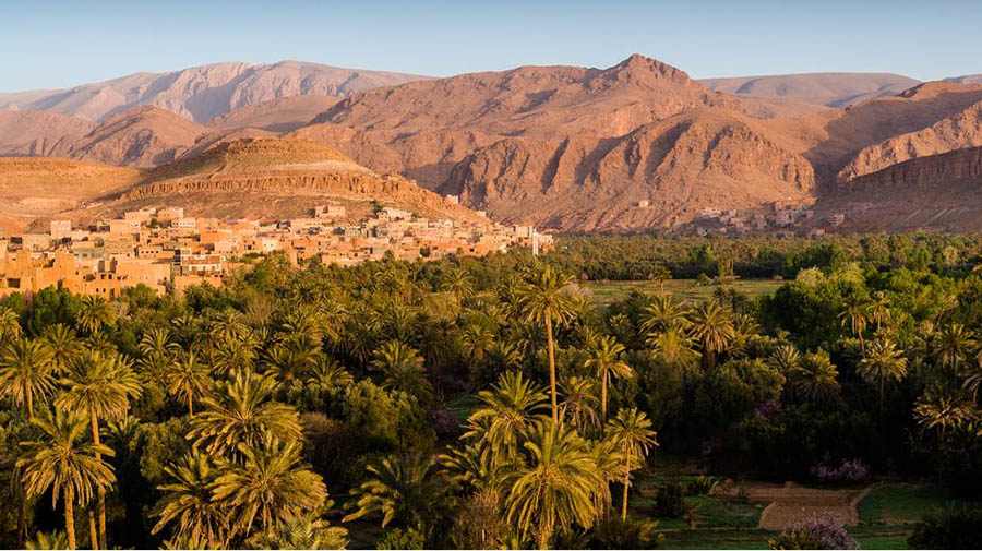 9 picturesque oases, located in the middle of the desert but still lush throughout the 4 seasons - 1