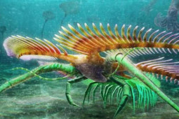 Du lịch - Quái vật “xuyên không” 450 triệu năm bằng cách vô lý nhất thế giới