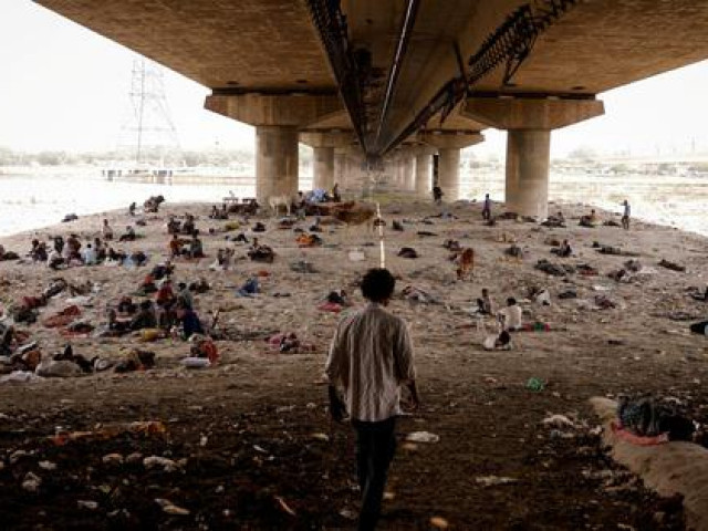 Thế giới - Nắng nóng khiến nhiều nơi như "đang sống trong địa ngục"