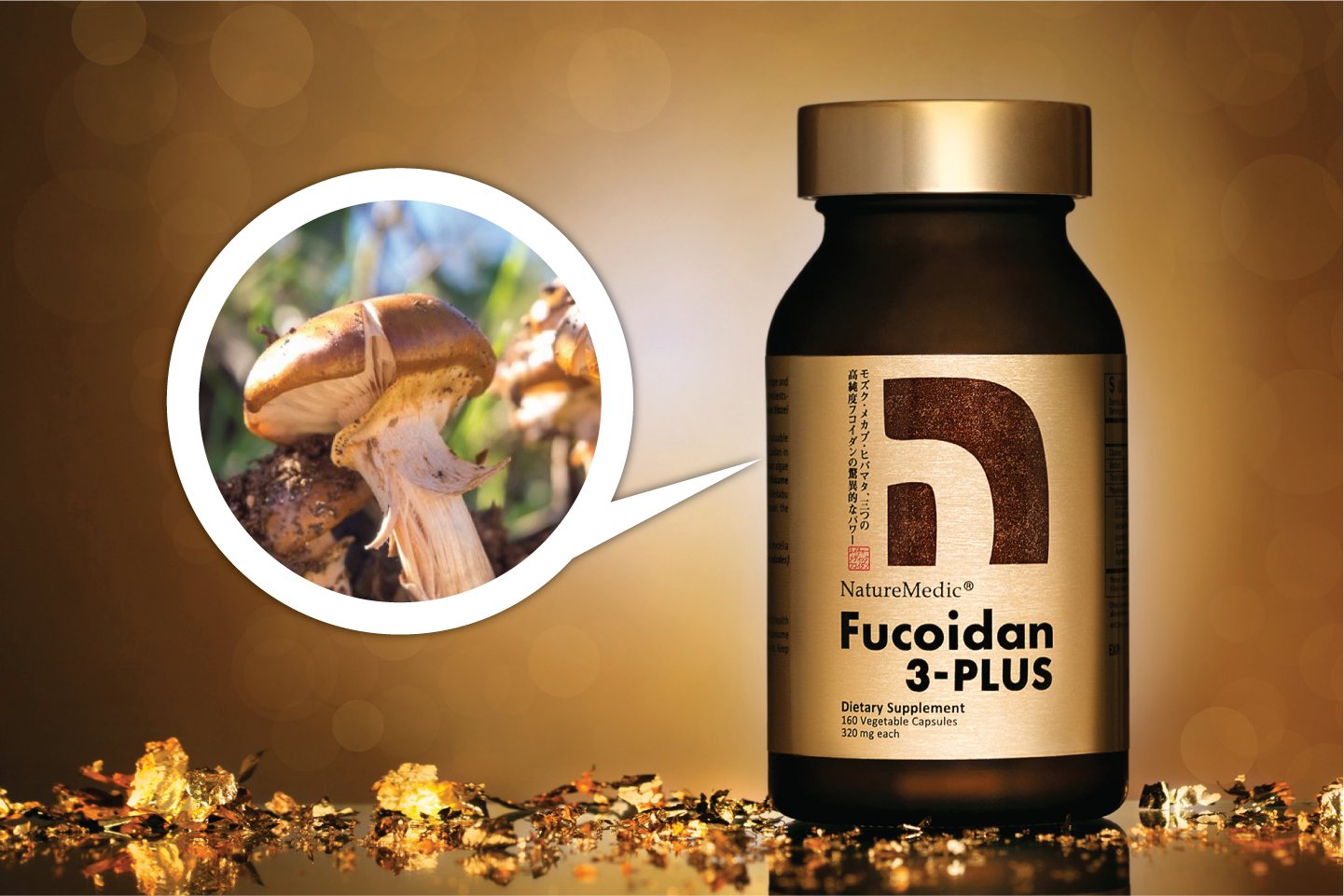 Hợp chất Fucoidan mang nhiều hi vọng cho bệnh nhân ung thư - 2