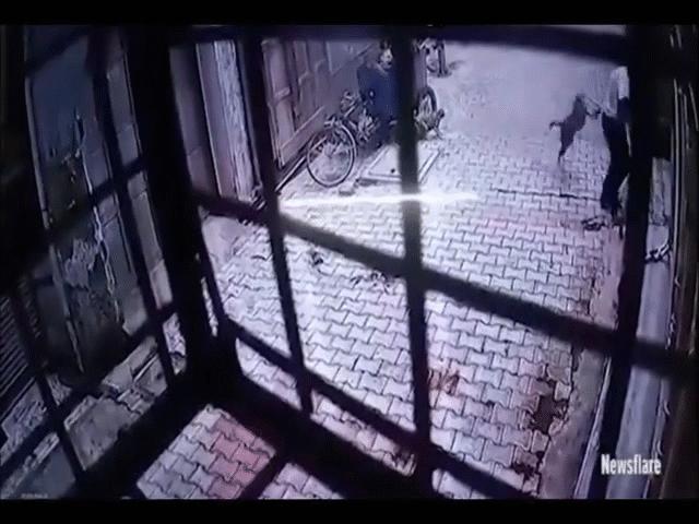 Phi thường - kỳ quặc - Người đàn ông bất ngờ bị bầy khỉ tấn công dữ dội, diễn biến tiếp theo gây thót tim