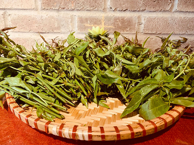 Sau này, nó được sử dụng như một món rau đặc sản ở Hà Giang và được người dân trồng quanh vườn nhà
