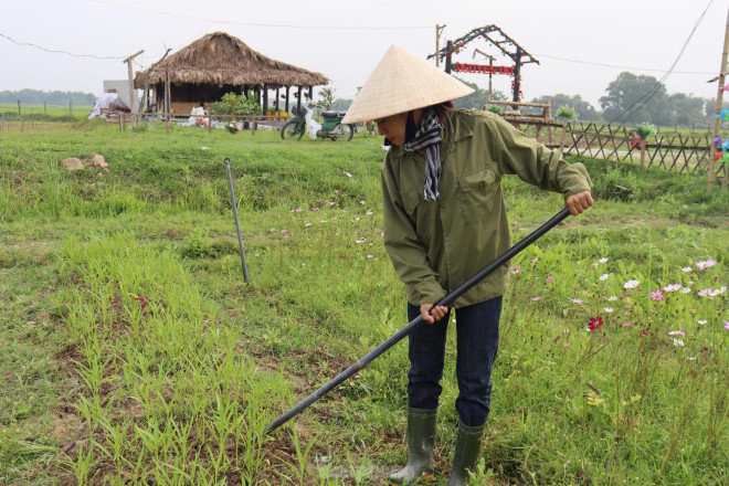 Nữ kỹ sư 9x &#34;biến&#34; mảnh đất hoang thành nông trại xanh - 1