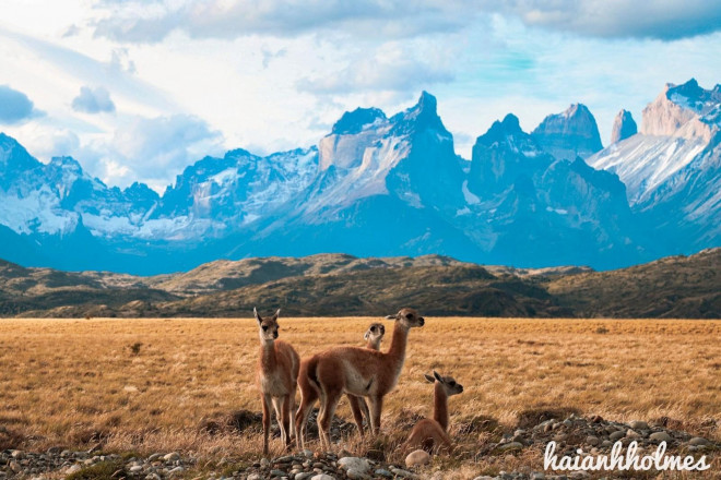 Cô gái mê 'phượt' kể khoảnh khắc 'đứng hình' trước kỳ quan thiên nhiên thứ 8 ở Chile - 3