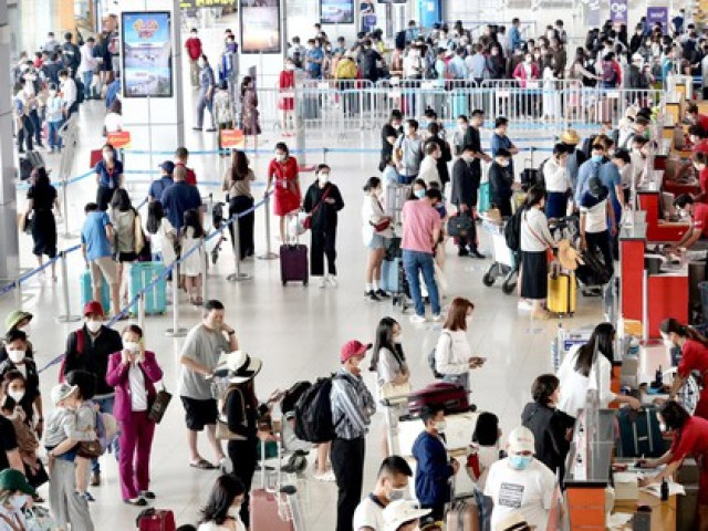 Thị trường - Tiêu dùng - Vận tải hàng không, đường sắt: Cháy vé