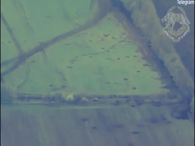 Thế giới - Ukraine tung video phá hủy “xe tăng T-90”