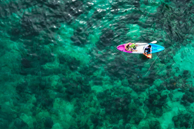 Scuba diving to see the coral in Phuket is so beautiful that you don't want to go ashore - 3