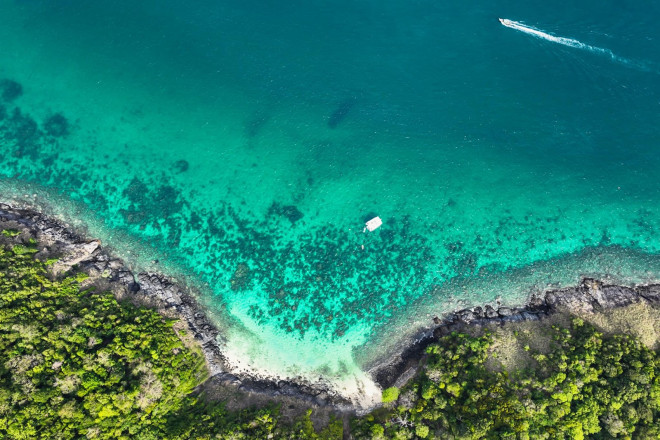 Scuba diving to see the coral in Phuket is so beautiful that you don't want to go ashore - 7