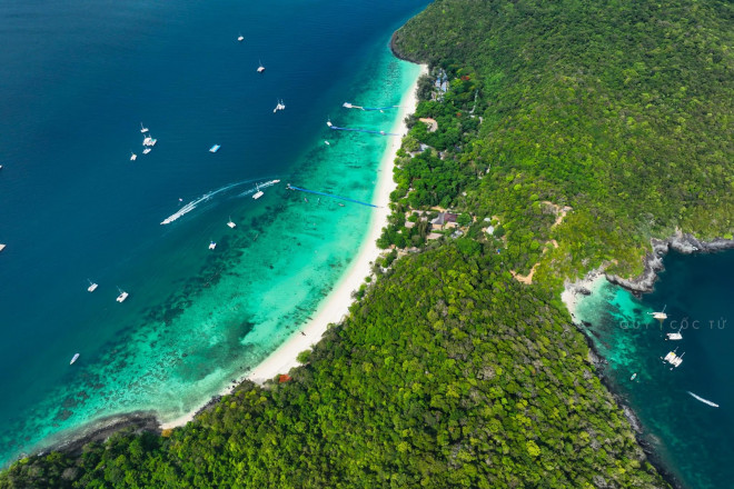 Scuba diving to see the coral in Phuket is so beautiful that you don't want to go ashore - 8