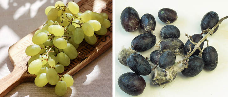 9 foods that, if stored together, will ripen quickly, spoil quickly, and easily rot - 8