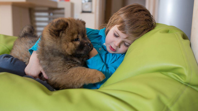 Số lượng lớn trẻ em bị viêm gan cấp tính ở Anh quốc có nuôi chó trong nhà.