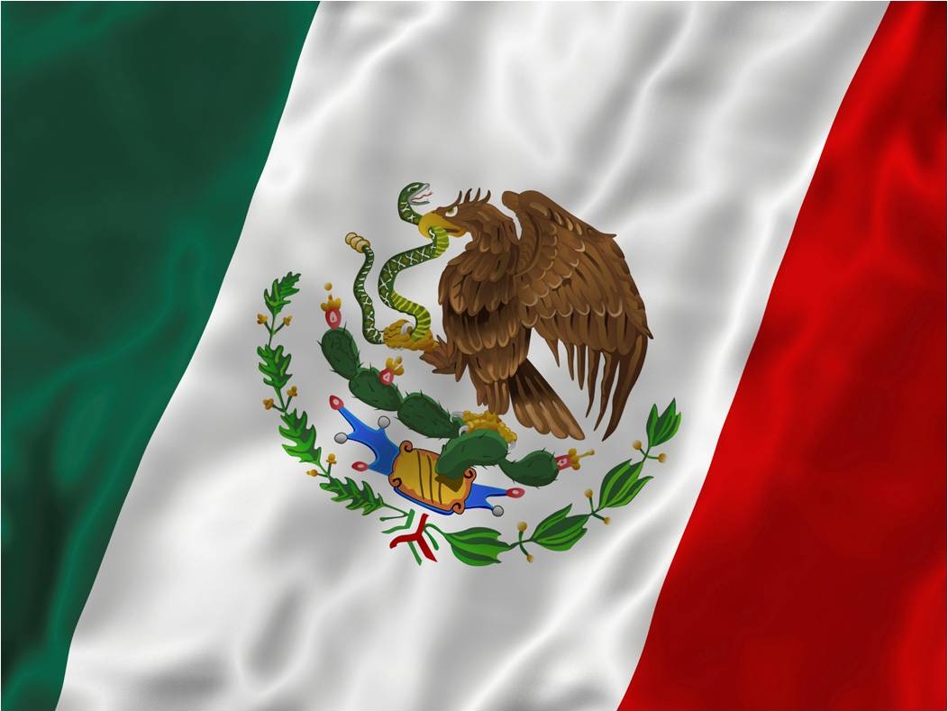 The most famous wild plant in Mexico, appearing in the national flag of this country - 1