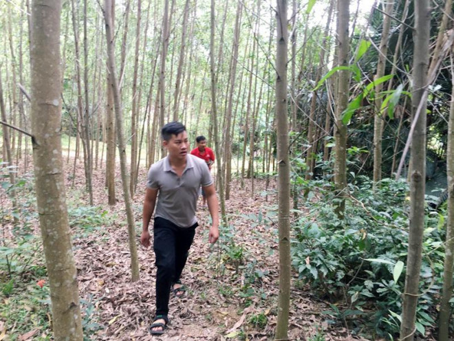 Các lực lượng đang nỗ lực tìm kiếm quân nhân bị mất liên lạc