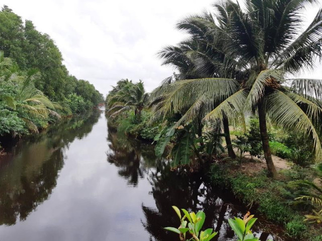 Pháp luật - Phát hiện thi thể không đầu, mất 2 bàn tay trôi trên sông ở Cà Mau