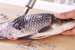 Ẩm thực - Trắc nghiệm: "Rước họa vào thân" vì ăn cá không biết phần đại bổ hay cực độc