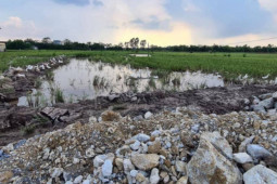 Kinh doanh - Những "kẽ hở" dễ bị trục lợi từ đất đai