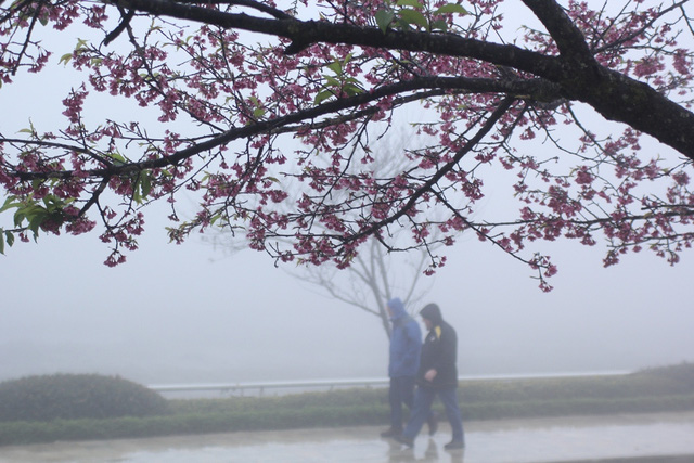 Miền Bắc sắp chuyển mưa lạnh do ảnh hưởng của không khí lạnh giữa tháng 5. Ảnh minh họa