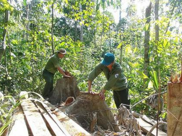 Tin tức trong ngày - Ủy ban kiểm tra tỉnh Phú Yên kỷ luật nhiều cán bộ