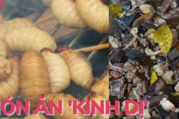 Ẩm thực - 6 món ăn ‘kinh dị’ nhất Việt Nam khiến du khách phải ‘khóc thét’