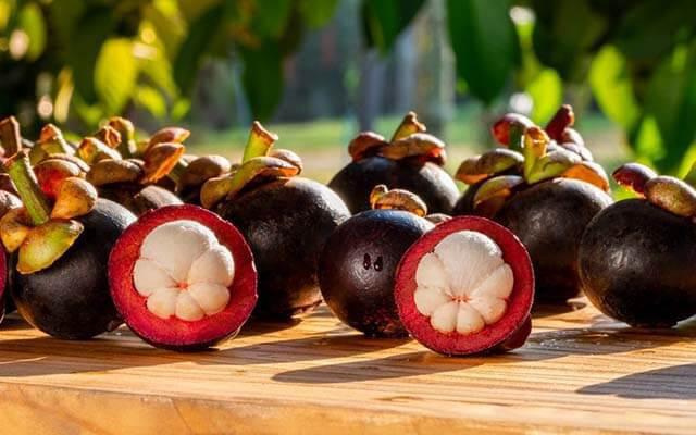 The " great cavalry"  when eating mangosteen, you must know to not "poisonous process"  in person - 3